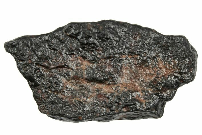 Carbonaceous Chondrite Meteorite ( g) - NWA #333040